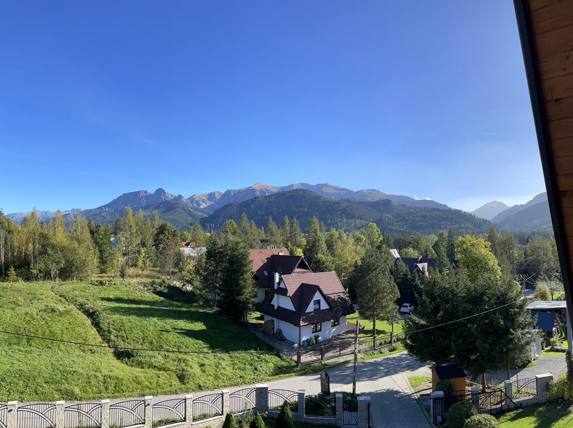 Willa Krolewska - Wellness Spa - Widokowe Pokoje I Apartamenty Косцелиско Экстерьер фото